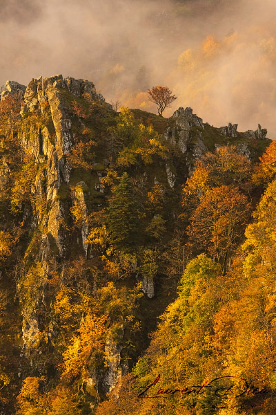 Lever de soleil brumeux - Hohneck - Vosges - France. Canon EOS R3 - Canon RF 100-500mm f/4.5-7.1 L IS USM.