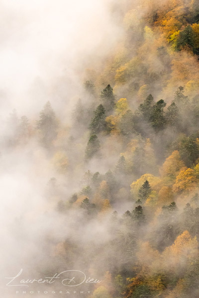 Lever de soleil brumeux - Hohneck - Vosges - France. Canon EOS R3 - Canon RF 100-500mm f/4.5-7.1 L IS USM.