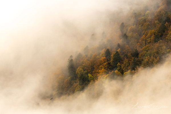 Lever de soleil brumeux - Hohneck - Vosges - France. Canon EOS R3 - Canon RF 100-500mm f/4.5-7.1 L IS USM.