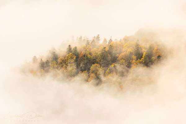 Lever de soleil brumeux - Hohneck - Vosges - France. Canon EOS R3 - Canon RF 100-500mm f/4.5-7.1 L IS USM.