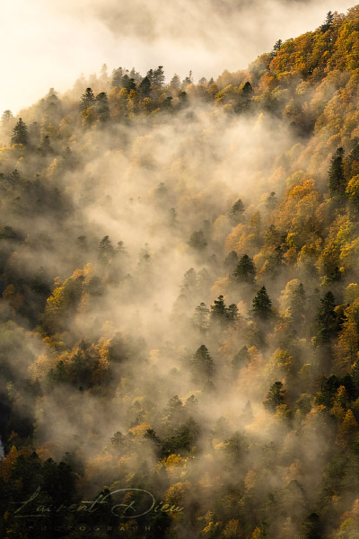 Lever de soleil brumeux - Hohneck - Vosges - France. Canon EOS R3 - Canon RF 100-500mm f/4.5-7.1 L IS USM.