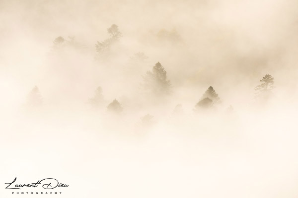 Lever de soleil brumeux - Hohneck - Vosges - France. Canon EOS R3 - Canon RF 100-500mm f/4.5-7.1 L IS USM.