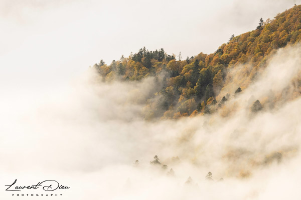 Lever de soleil brumeux - Hohneck - Vosges - France. Canon EOS R3 - Canon RF 100-500mm f/4.5-7.1 L IS USM.