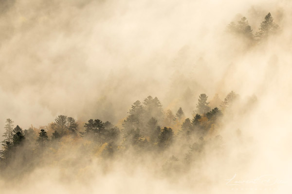 Lever de soleil brumeux - Hohneck - Vosges - France. Canon EOS R3 - Canon RF 100-500mm f/4.5-7.1 L IS USM.