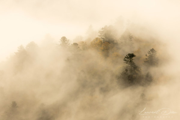 Lever de soleil brumeux - Hohneck - Vosges - France. Canon EOS R3 - Canon RF 100-500mm f/4.5-7.1 L IS USM.