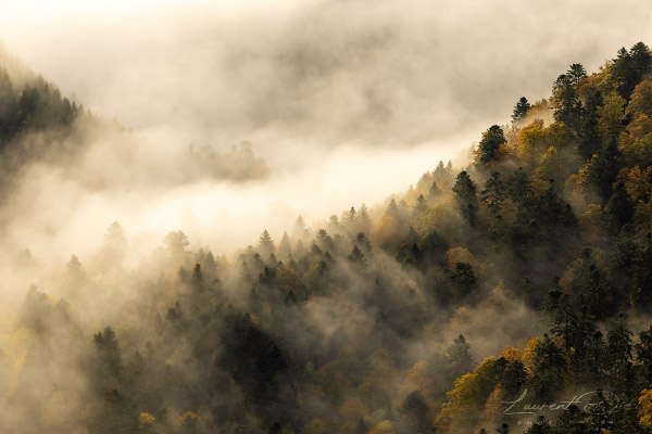 Lever de soleil brumeux - Hohneck - Vosges - France. Canon EOS R3 - Canon RF 100-500mm f/4.5-7.1 L IS USM.