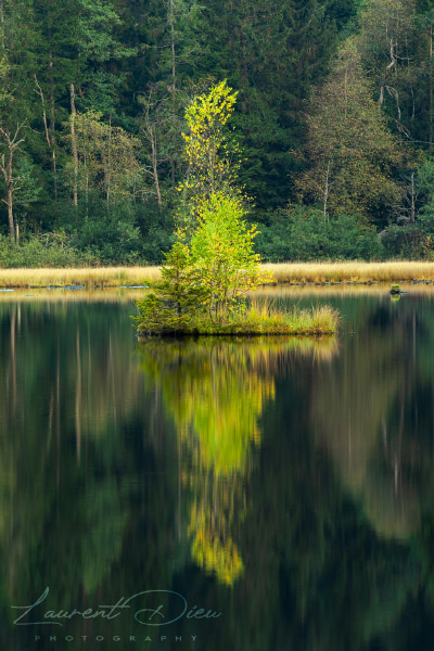 Ambiance automnale et reflets sur le lac de Lispach (La Bresse - Vosges - France). Canon EOS 5D Mark IV - Canon EF 70-200mm f/2.8 L IS III USM.