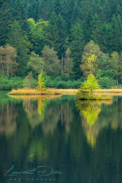 Ambiance automnale et reflets sur le lac de Lispach (La Bresse - Vosges - France). Canon EOS 5D Mark IV - Canon EF 70-200mm f/2.8 L IS III USM.