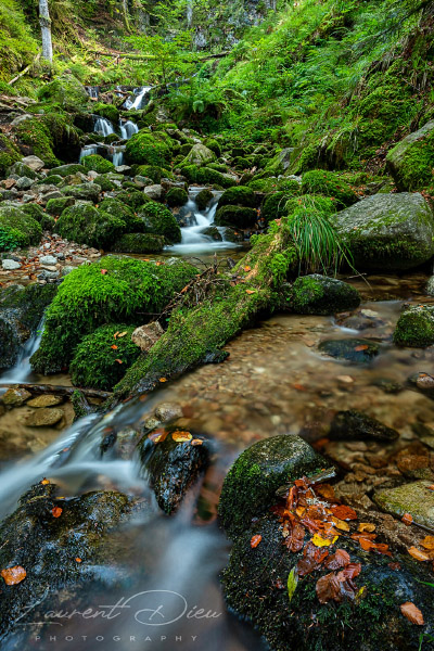 Ambiance automnale le long de la cascade Charlemagne (Xonrupt-Longemer - Vosges - France). Canon EOS 5D Mark IV - Canon EF 24-70mm f/2.8 L II USM.