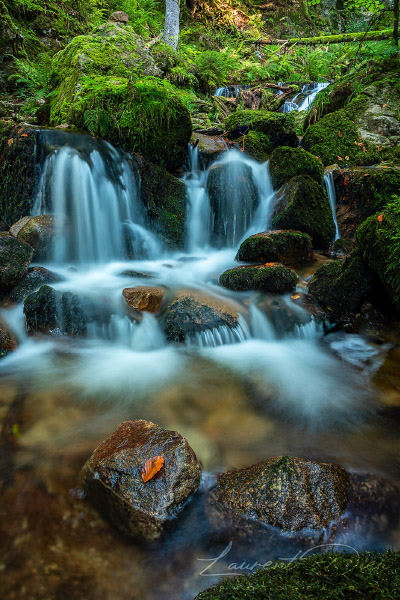 Ambiance automnale le long de la cascade Charlemagne (Xonrupt-Longemer - Vosges - France). Canon EOS 5D Mark IV - Canon EF 24-70mm f/2.8 L II USM.