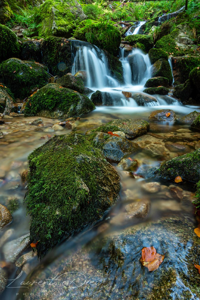 Ambiance automnale le long de la cascade Charlemagne (Xonrupt-Longemer - Vosges - France). Canon EOS 5D Mark IV - Canon EF 24-70mm f/2.8 L II USM.