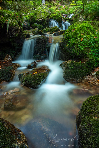 Ambiance automnale le long de la cascade Charlemagne (Xonrupt-Longemer - Vosges - France). Canon EOS 5D Mark IV - Canon EF 24-70mm f/2.8 L II USM.