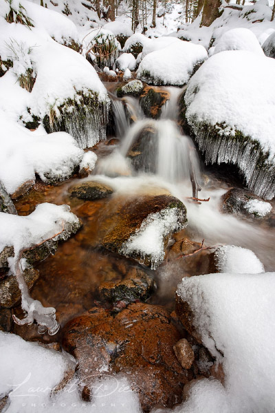 Ambiance hivernale le long de la cascade Charlemagne (Xonrupt-Longemer - Vosges - France). Canon 5DsR - Canon EF 16-35mm f/2.8 L III USM.