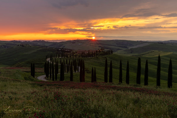 Coucher de soleil Crete Senesi (Italie - Toscane - Val d´Orcia). Canon EOS R3 - Canon EF 24-70mm f/2.8 L II USM.