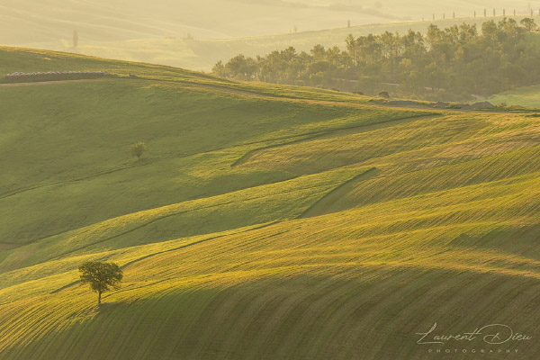 Lever de soleil dans la vallée du San Quirico d´orica (Italie - Toscane - Val d´Orcia). Canon EOS R3 - Canon RF 100-500mm f/4.5-7.1 L IS USM.