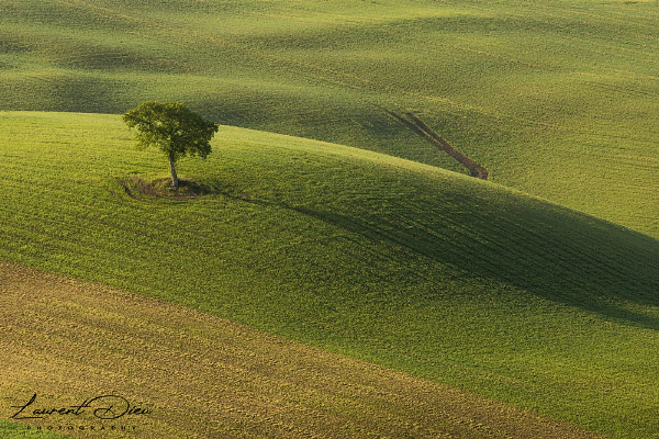 Lever de soleil dans la vallée du San Quirico d´orica (Italie - Toscane - Val d´Orcia). Canon EOS R3 - Canon RF 100-500mm f/4.5-7.1 L IS USM.