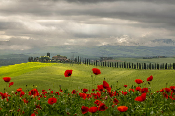 Lever de soleil couvert dans la vallée du San Quirico d´orica (Italie - Toscane - Val d´Orcia - Poggio Covili Canon EOS R3 - Canon RF 100-500mm f/4.5-7.1 L IS USM.